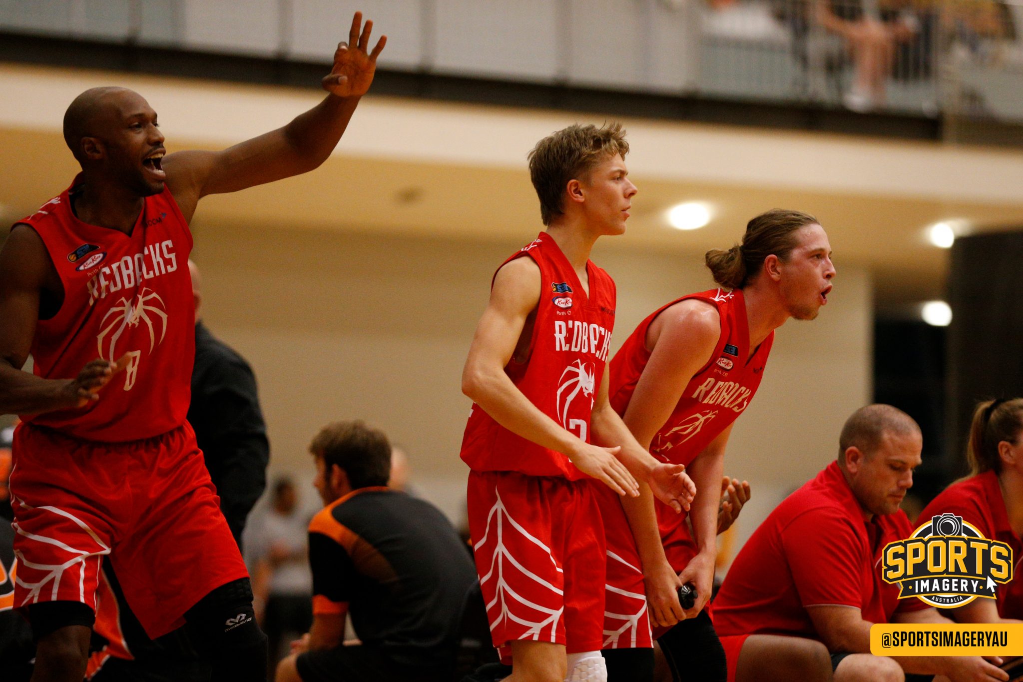 Redbacks Round 1 West Coast Classic Preview Perth Basketball