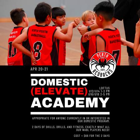 Domestic-Elevate-Academy